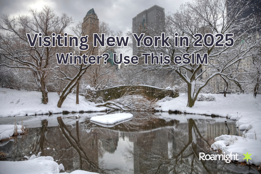 Visiting New York in 2025 Winter? Use This eSIM