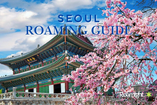 Seoul Mobile Roaming