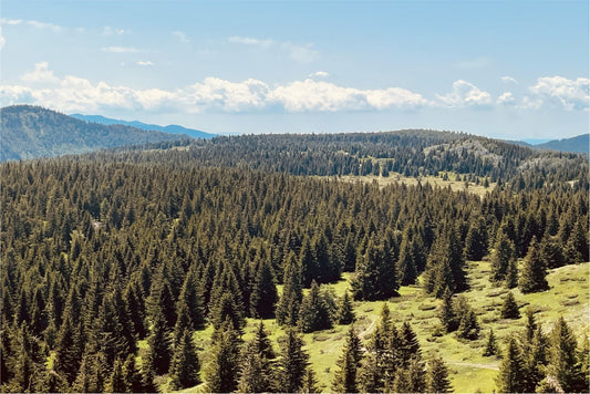 Best Prepaid eSIM for Kosovo Travel