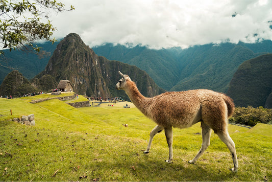 Best Prepaid eSIM Options for Peru