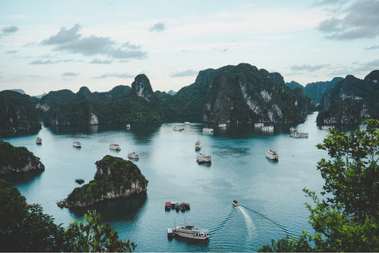 roamight esim vietnam