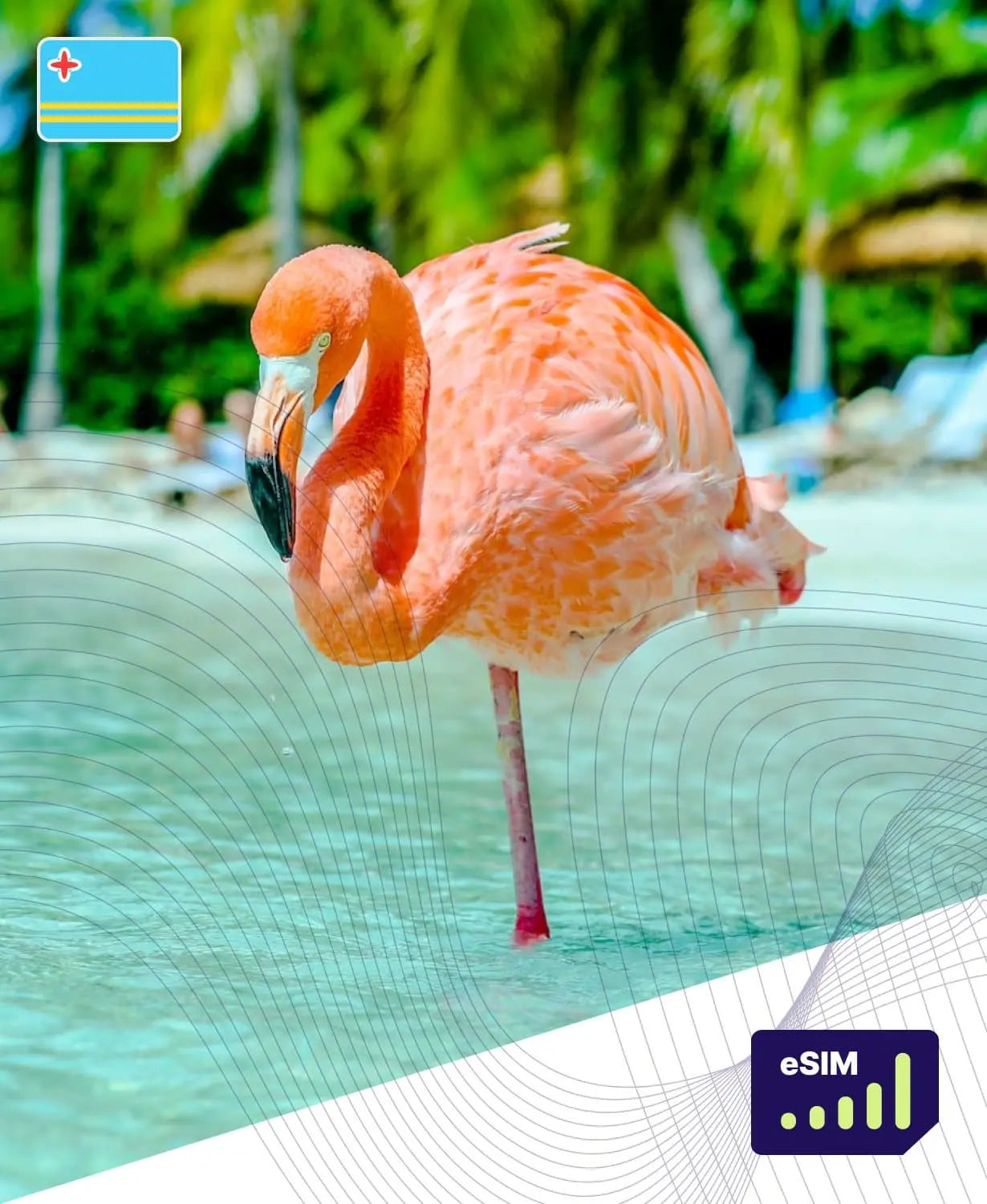 Aruba eSIM Plans - Roamight Aruba eSIM Plans - Roamight