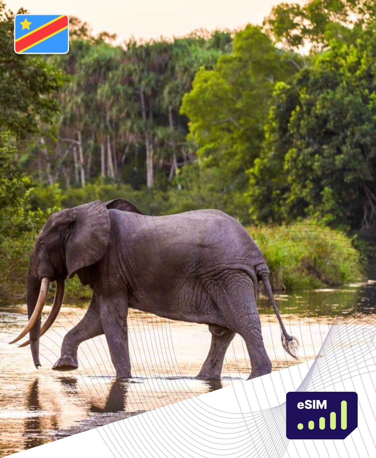 Democratic Republic of the Congo eSIM Plans - Roamight Democratic Republic of the Congo eSIM Plans - Roamight
