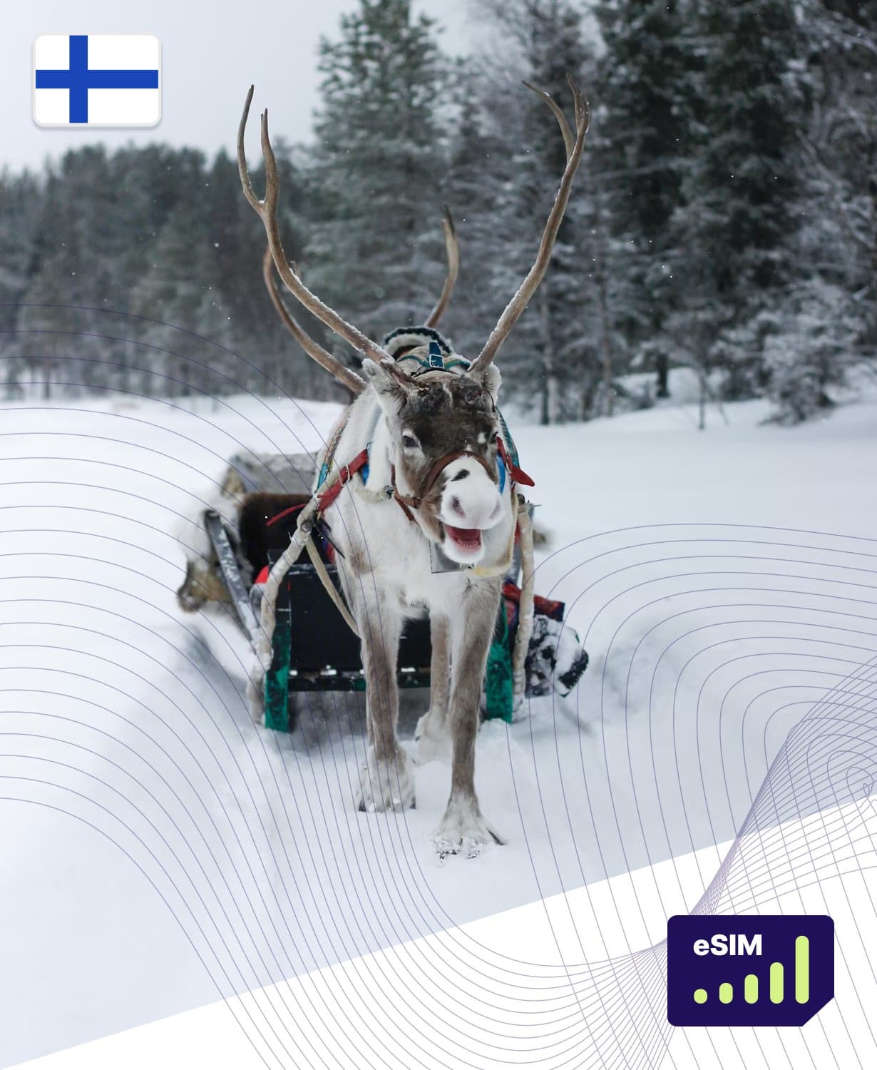 Finland 4G/5G eSIM Plans - Roamight Finland 4G/5G eSIM Plans - Roamight