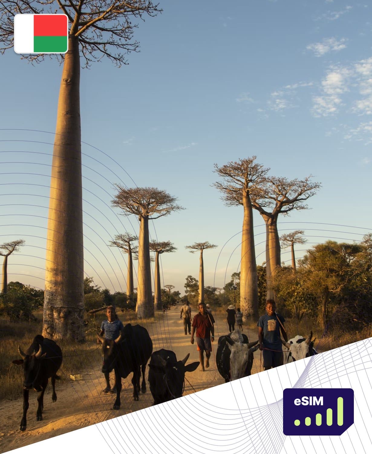 Madagascar 4G/5G eSIM Plans - Roamight Madagascar 4G/5G eSIM Plans - Roamight