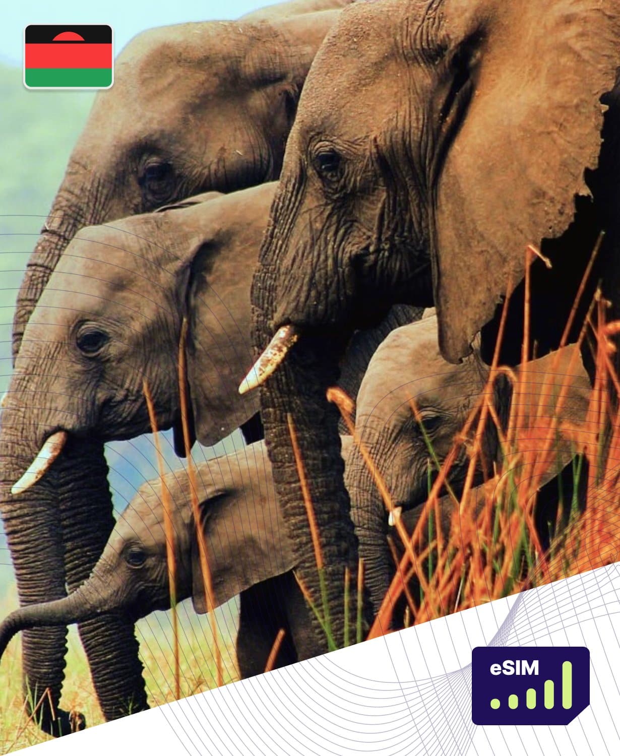 Malawi eSIM Plans - Roamight Malawi eSIM Plans - Roamight