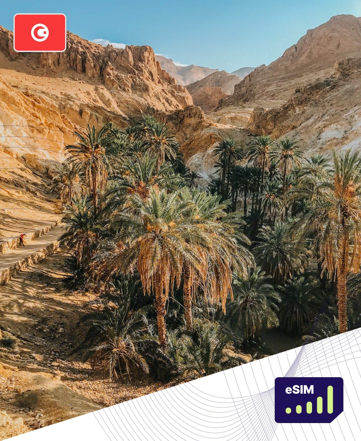 Tunisia eSIM Plans - Roamight Tunisia eSIM Plans - Roamight