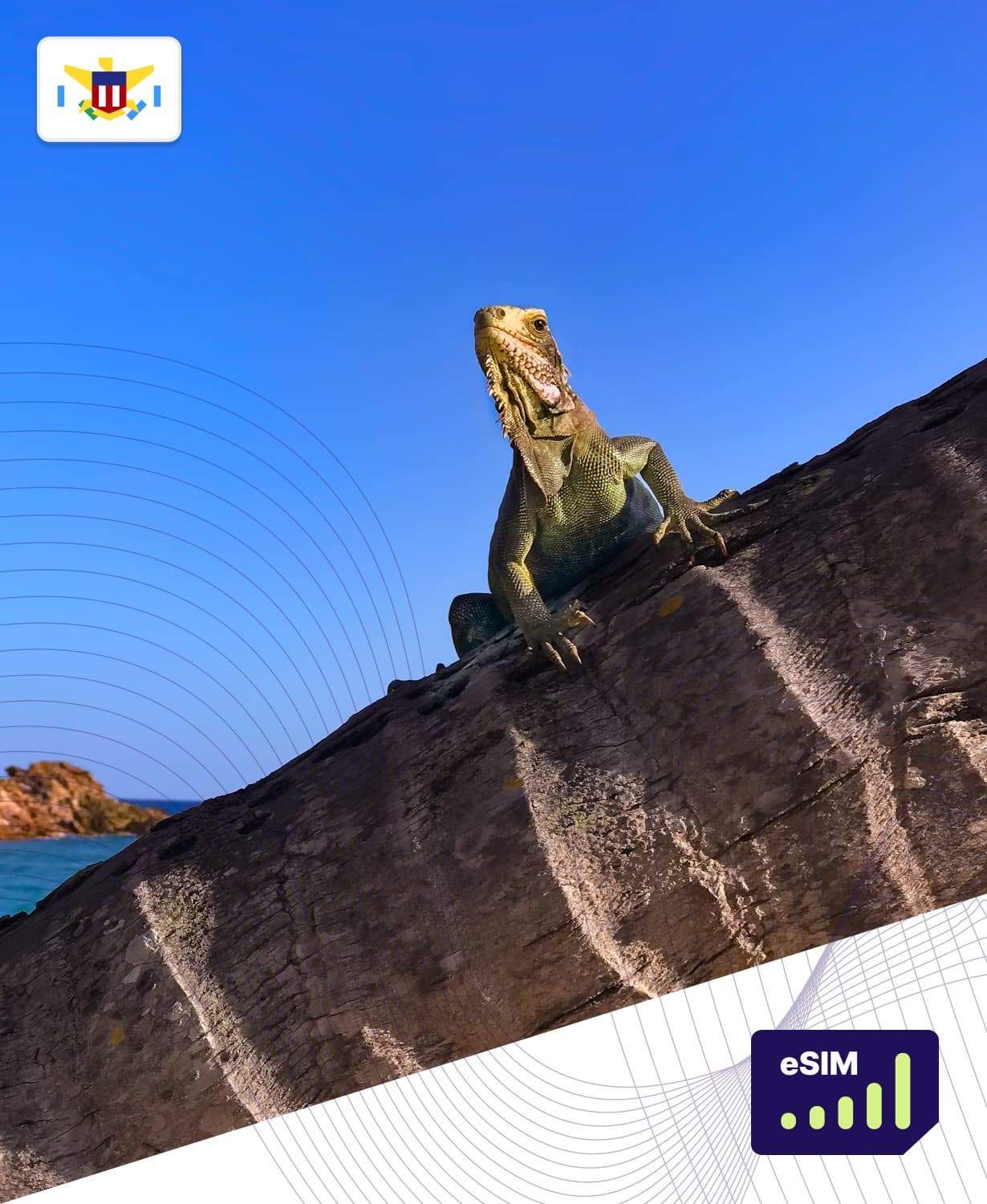 U.S. Virgin Islands eSIM Plans - Roamight U.S. Virgin Islands eSIM Plans - Roamight