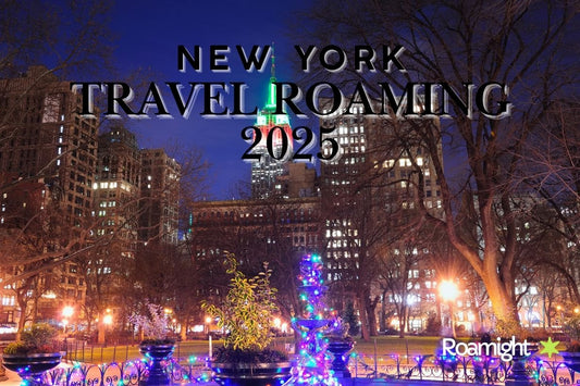 Travel Roaming New York