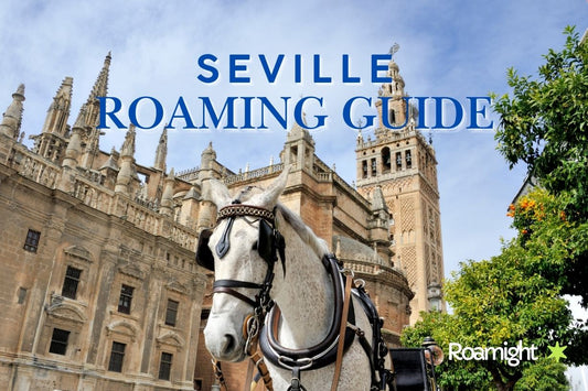 Seville Mobile Roaming Guide