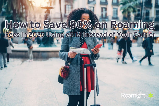 How to Save 80% on Roaming Fees