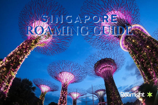 Singapore Mobile roaming guide 2025