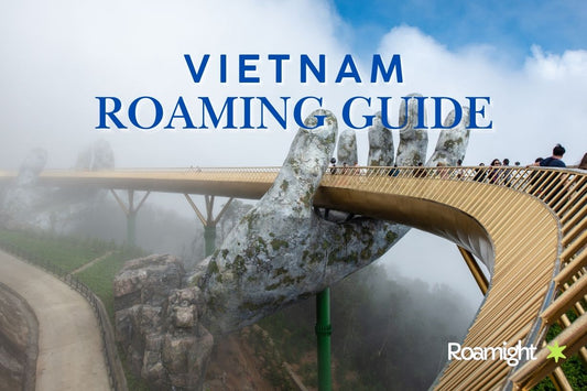 Vietnam Mobile Roaming