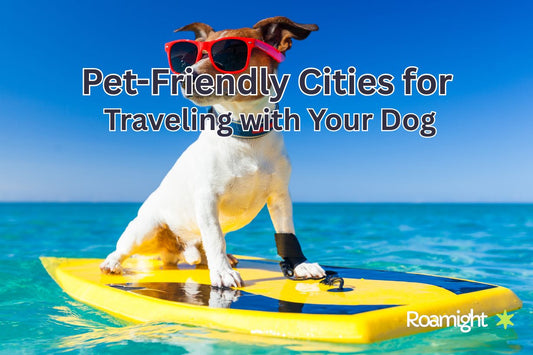 Pet-Friendly Cities for Traveling with Your Dog
