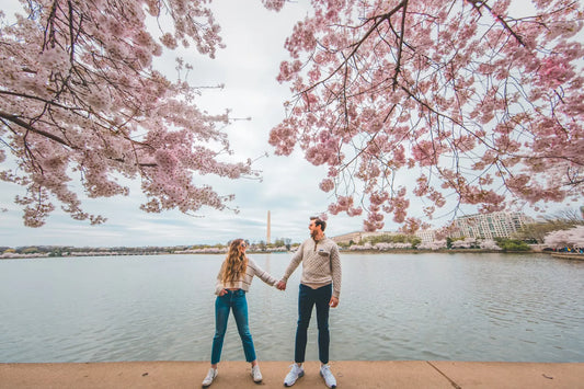 Optimal Times for Experiencing Washington, D.C.'s Cherry Blossoms and Beyond